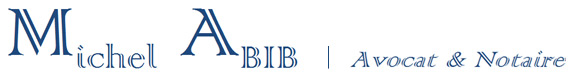 Michel Abib